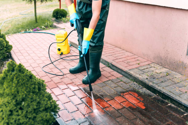Best Fence Cleaning  in Harbor Springs, MI