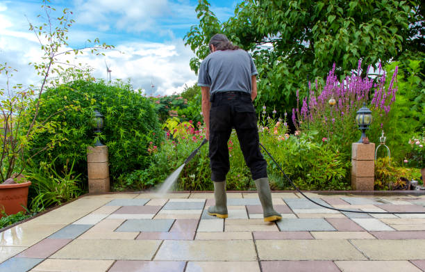 Best Driveway Pressure Washing  in Harbor Springs, MI